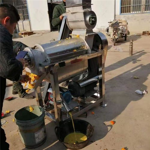 温州工业果蔬榨汁机 创新定制生产与前沿生物感测器技术的融合